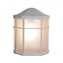  4484 WH - Andrews 1-Light Frosted Glass, Flush Mount Outdoor Pocket Lantern